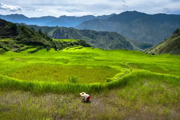 Hầu như không có thông tin về Philippines bằng ngôn ngữ của chúng tôi, vì vậy hãy lưu ý