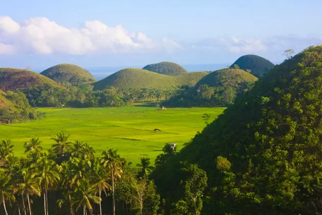 Colline di cioccolato a Bohol