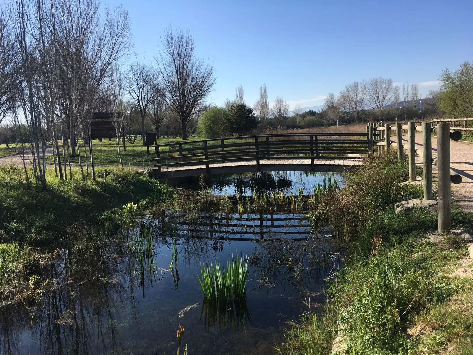 Pântano de Gandia