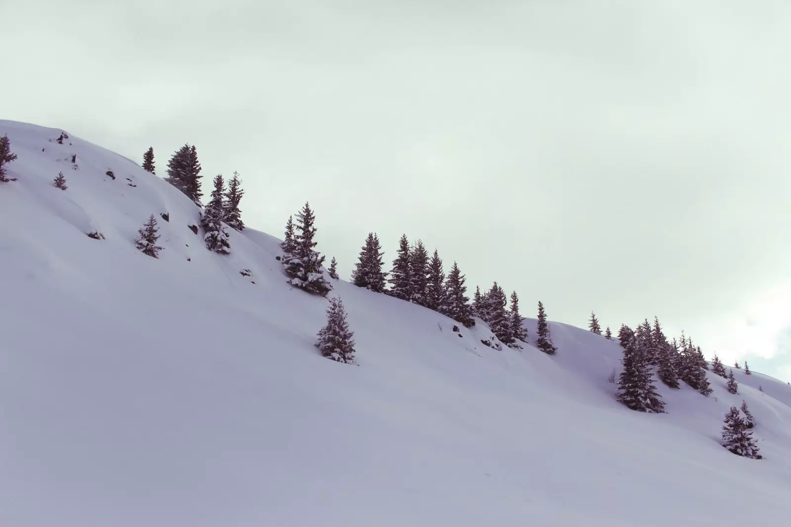 Alp d'Huez