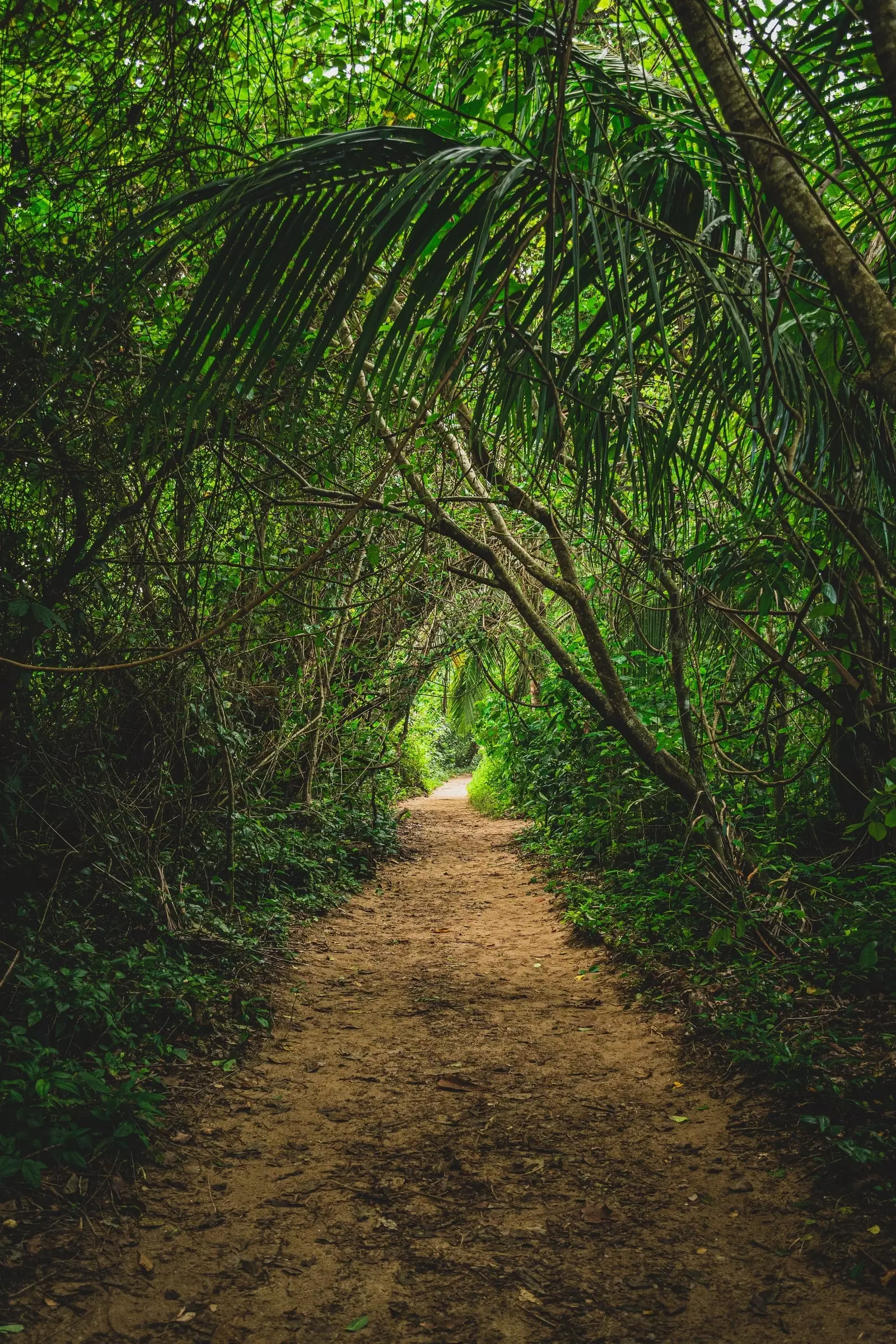 Cahuita Nationalpark