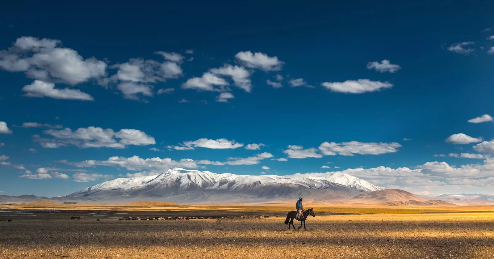 Mongolia w najlepszym wydaniu