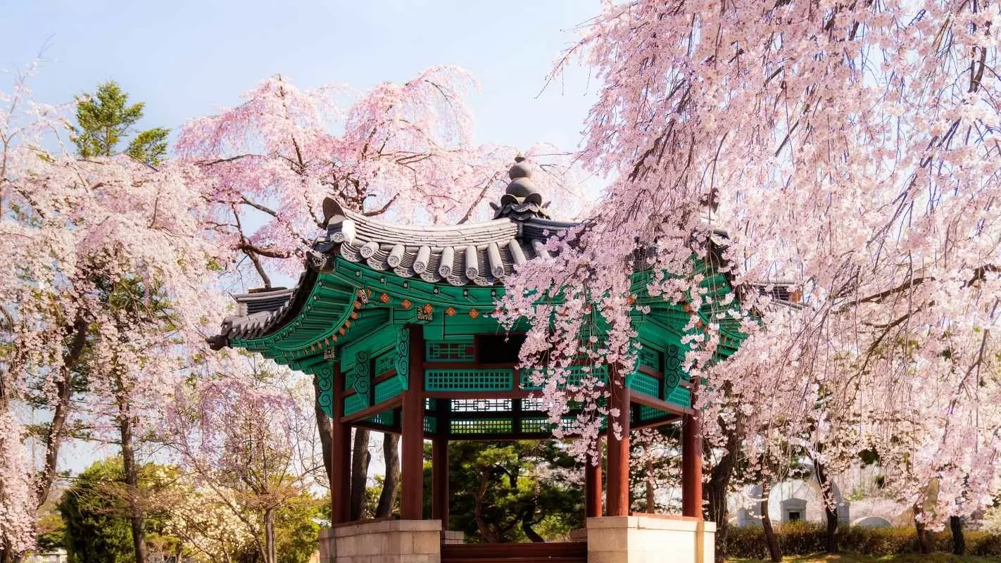 Spring in a park in Seoul.