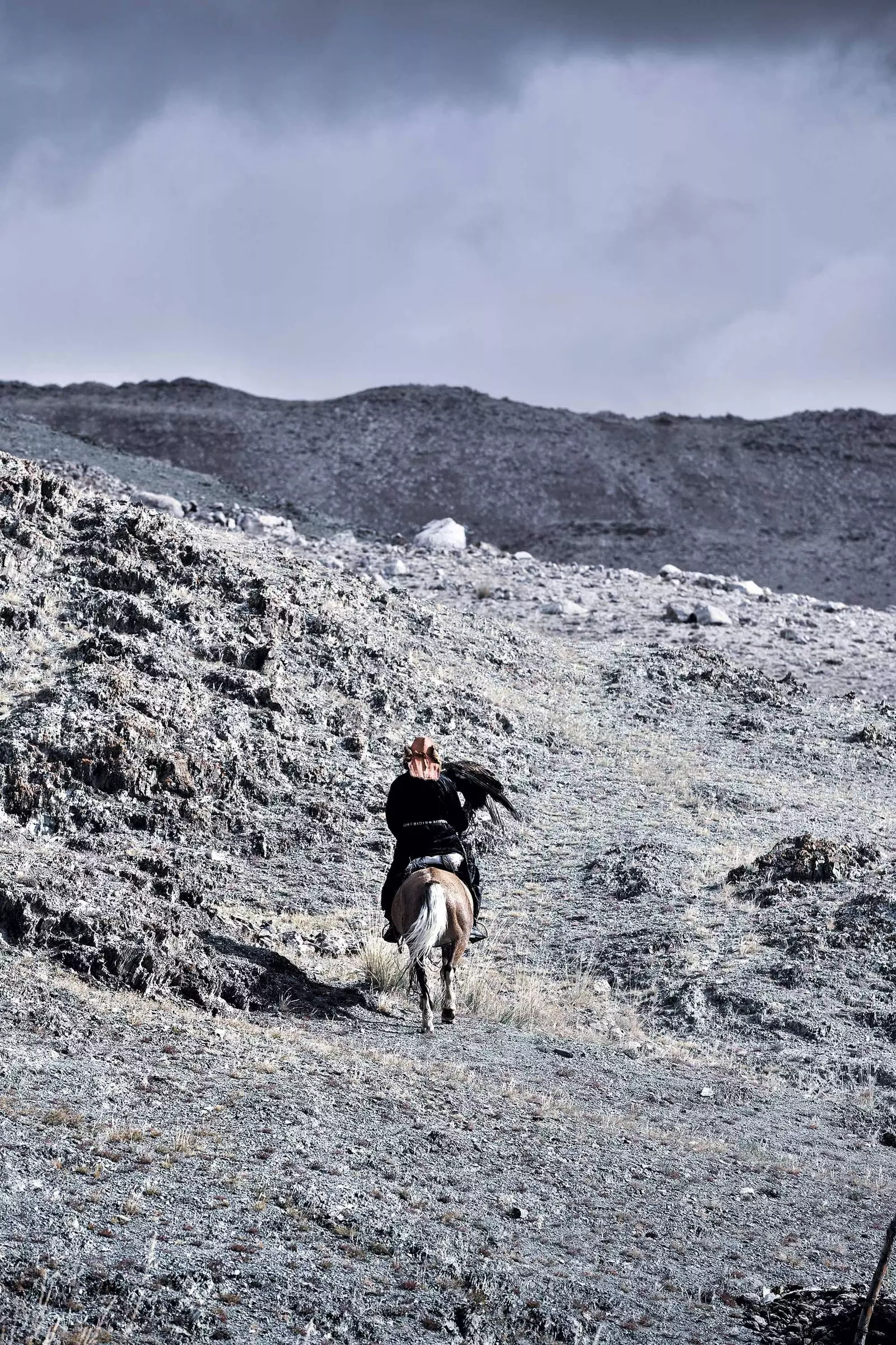 A rider climbs the hill