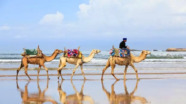 De vijf essentiële uitjes vanuit Marrakech