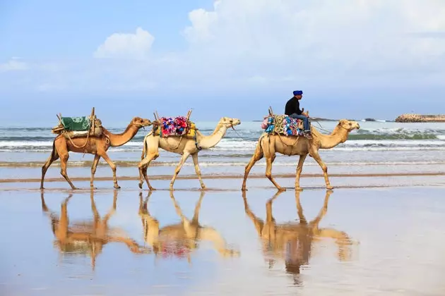 Essaouira