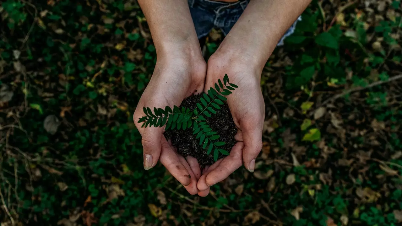 Condé Nast oznamuje globální iniciativy k dodržování Pařížských dohod proti změně klimatu