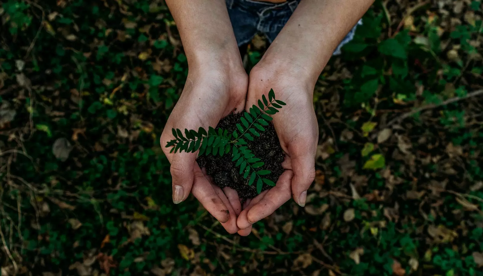 Cond Nast kunngjør globale initiativer for å overholde Paris-avtalene mot klimaendringer