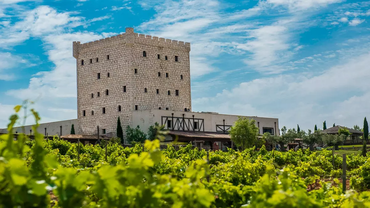 Drömmen om Bacchus hotell och vingårdar