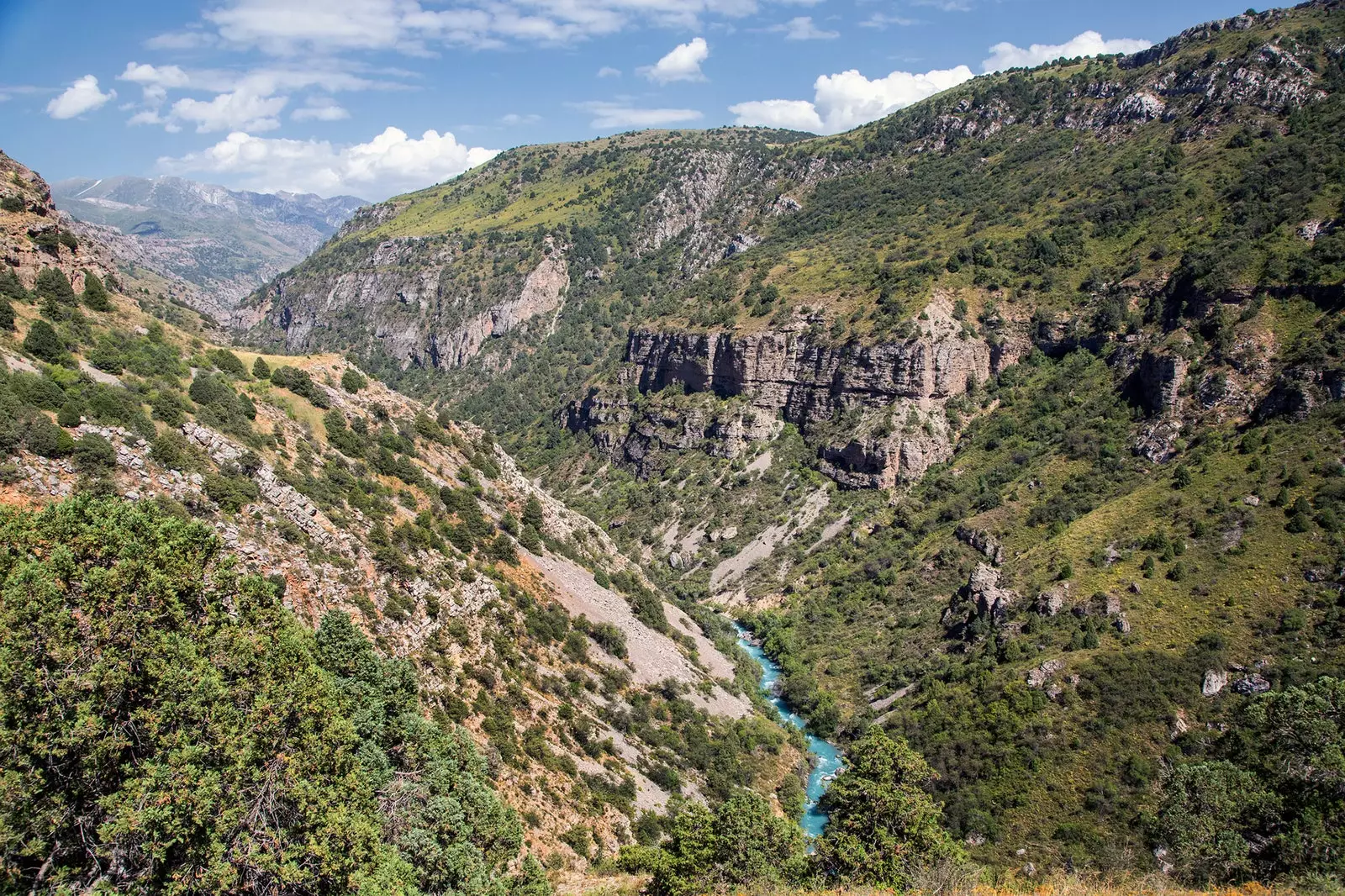 Aksu Zhabagly Reserve