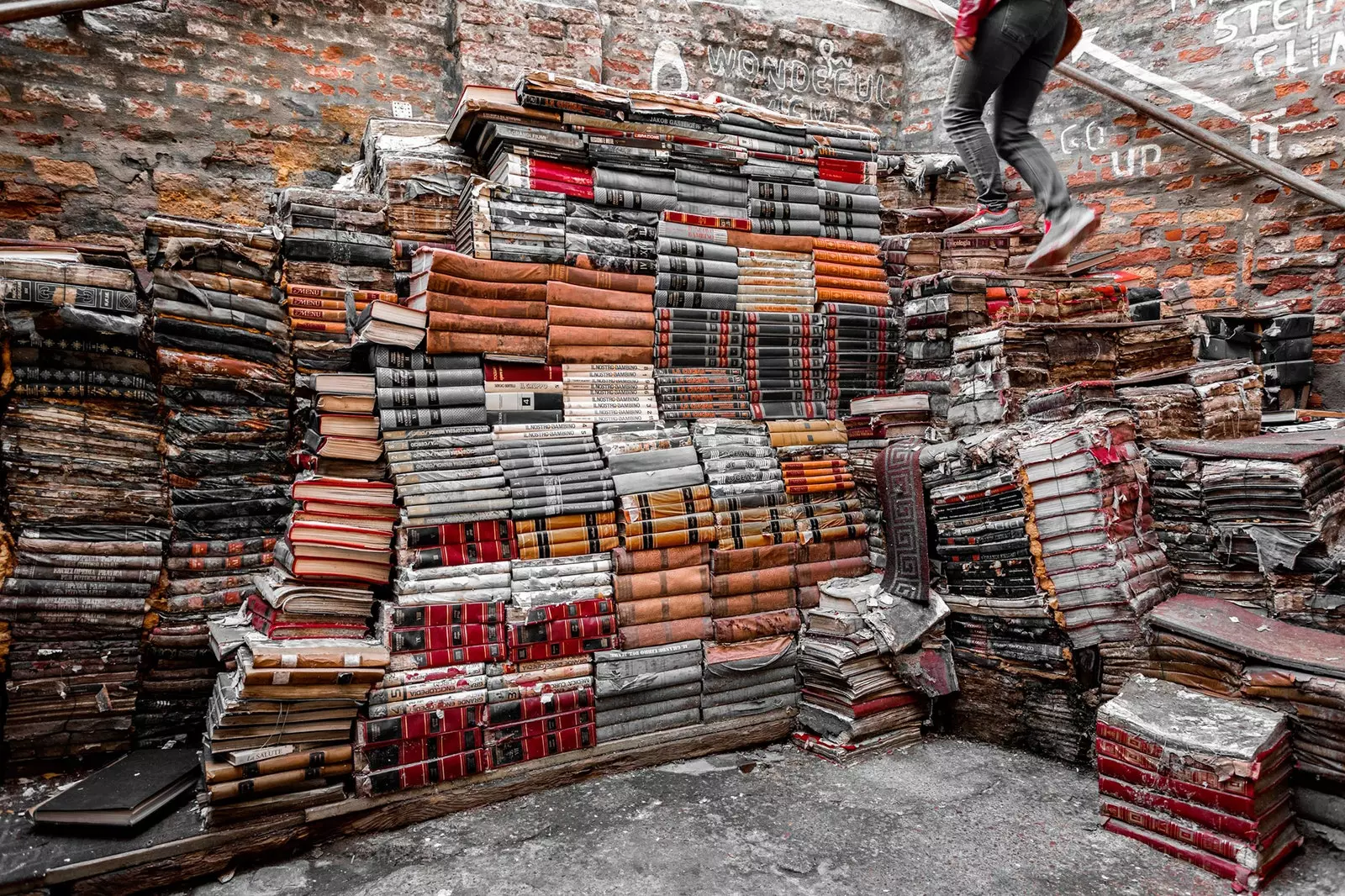 L'ingresso della libreria Acqua Alta