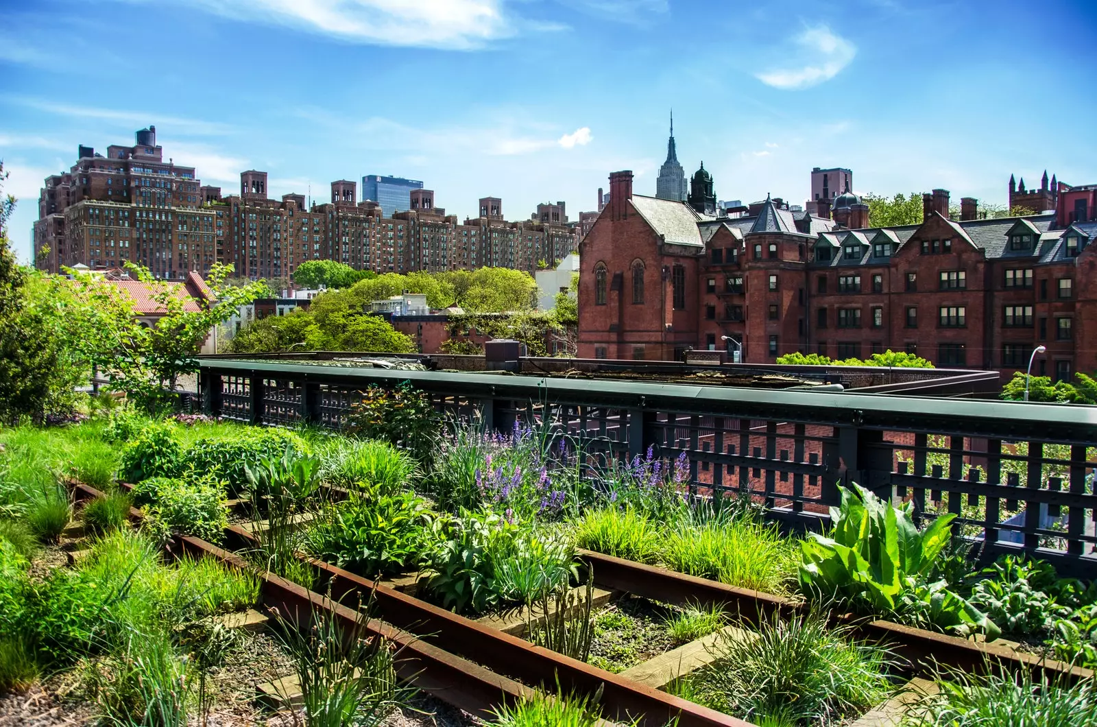 High Line na podwyższonym parku w Nowym Jorku.