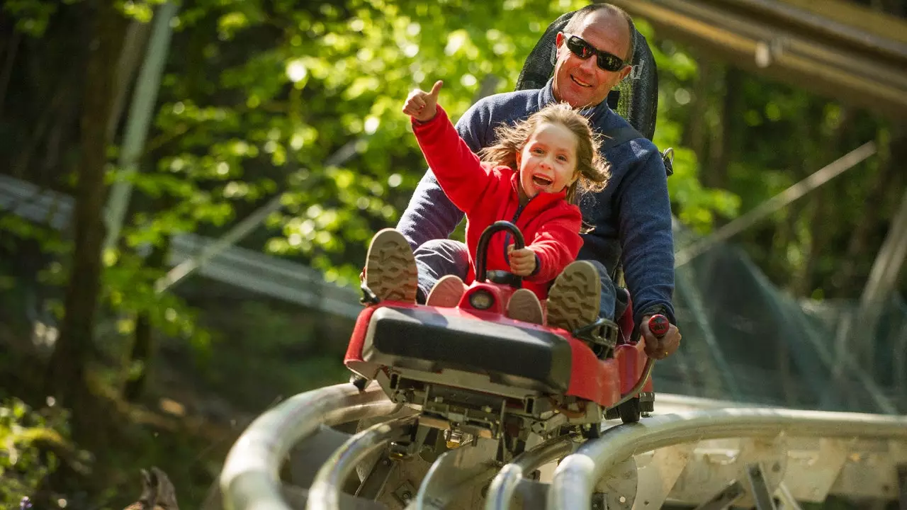 This roller coaster in the middle of the forest is the dream of all 'Robin Hood'