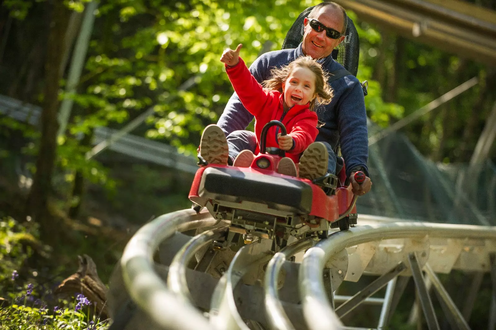 Forest Coaster