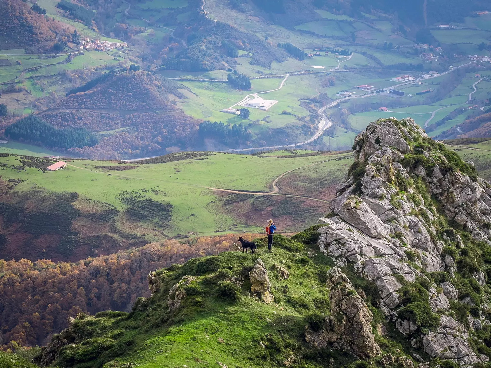 Camino de Santiago dengan anjing