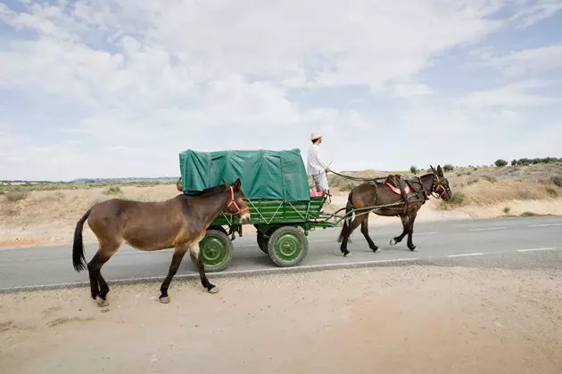 Matkalla nykyajan Quijoten kanssa syvän Kastilian läpi