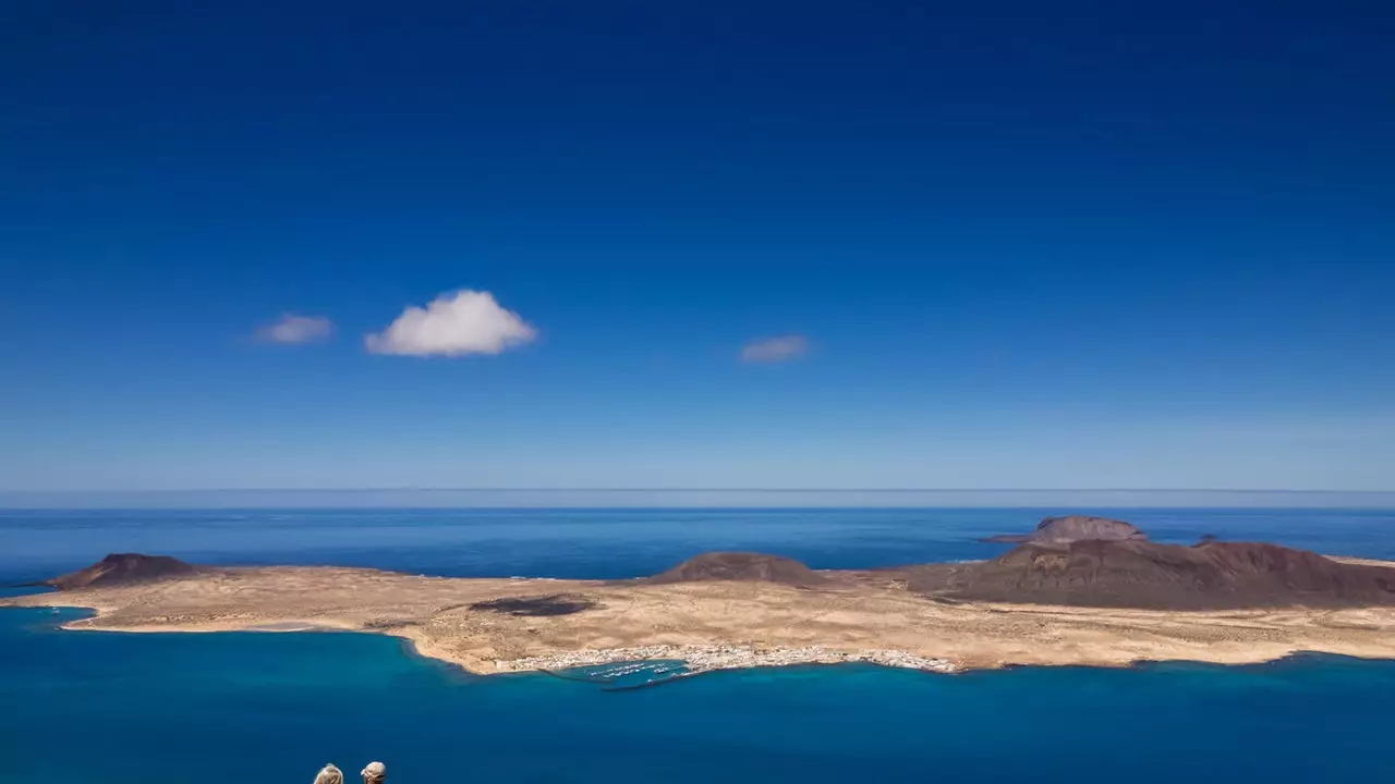 Operacja bociana na Lanzarote: wyspa ognia i krzywych