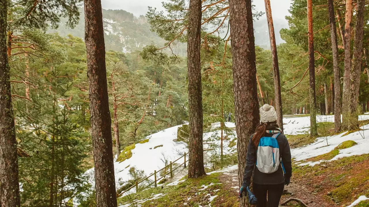 Totes aquestes experiències a la natura hi ha a Madrid (i tu sense saber-ho)