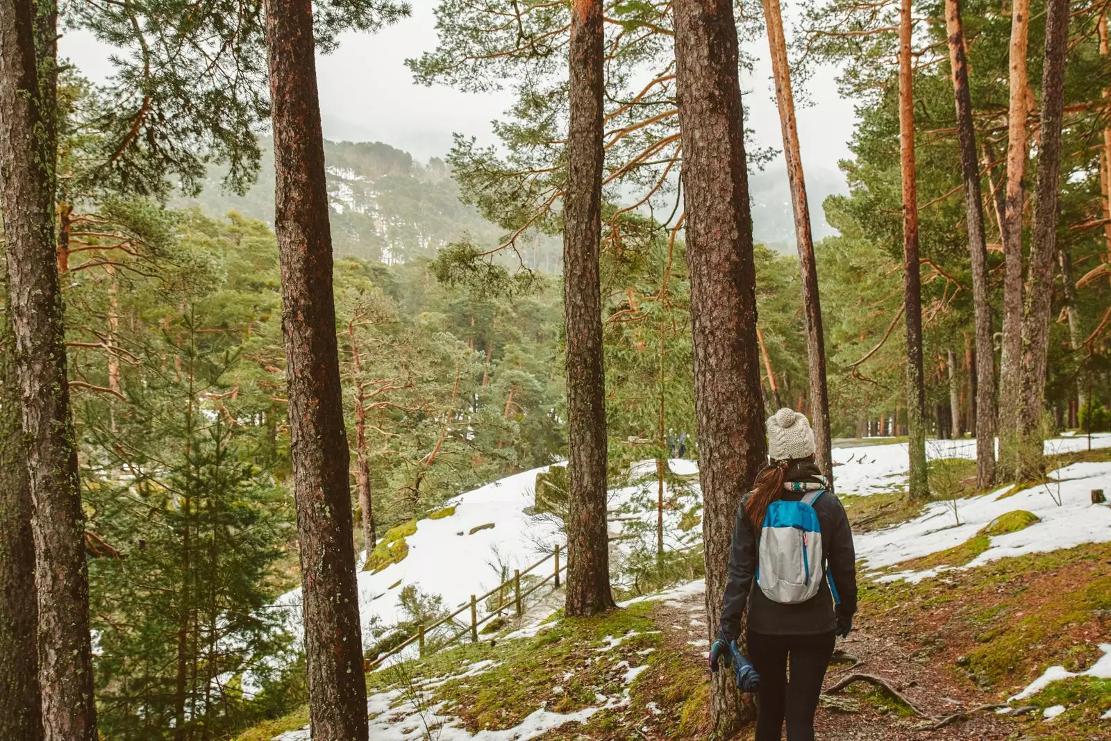 The wild nature of the Sierra de Madrid has endless activities to offer.