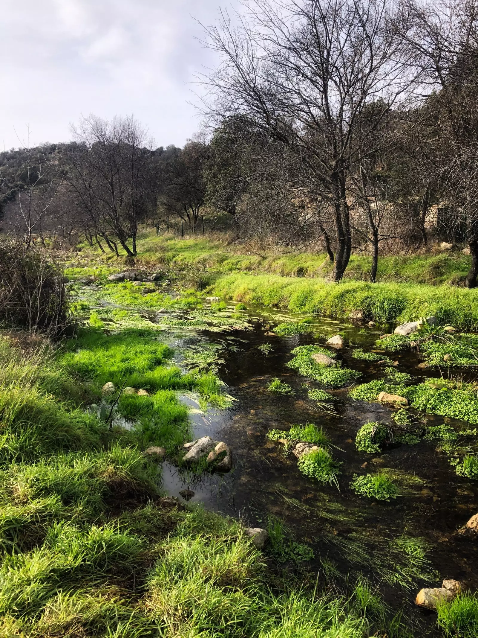 Rio Perales na Rota dos Moinhos Navalagamella.