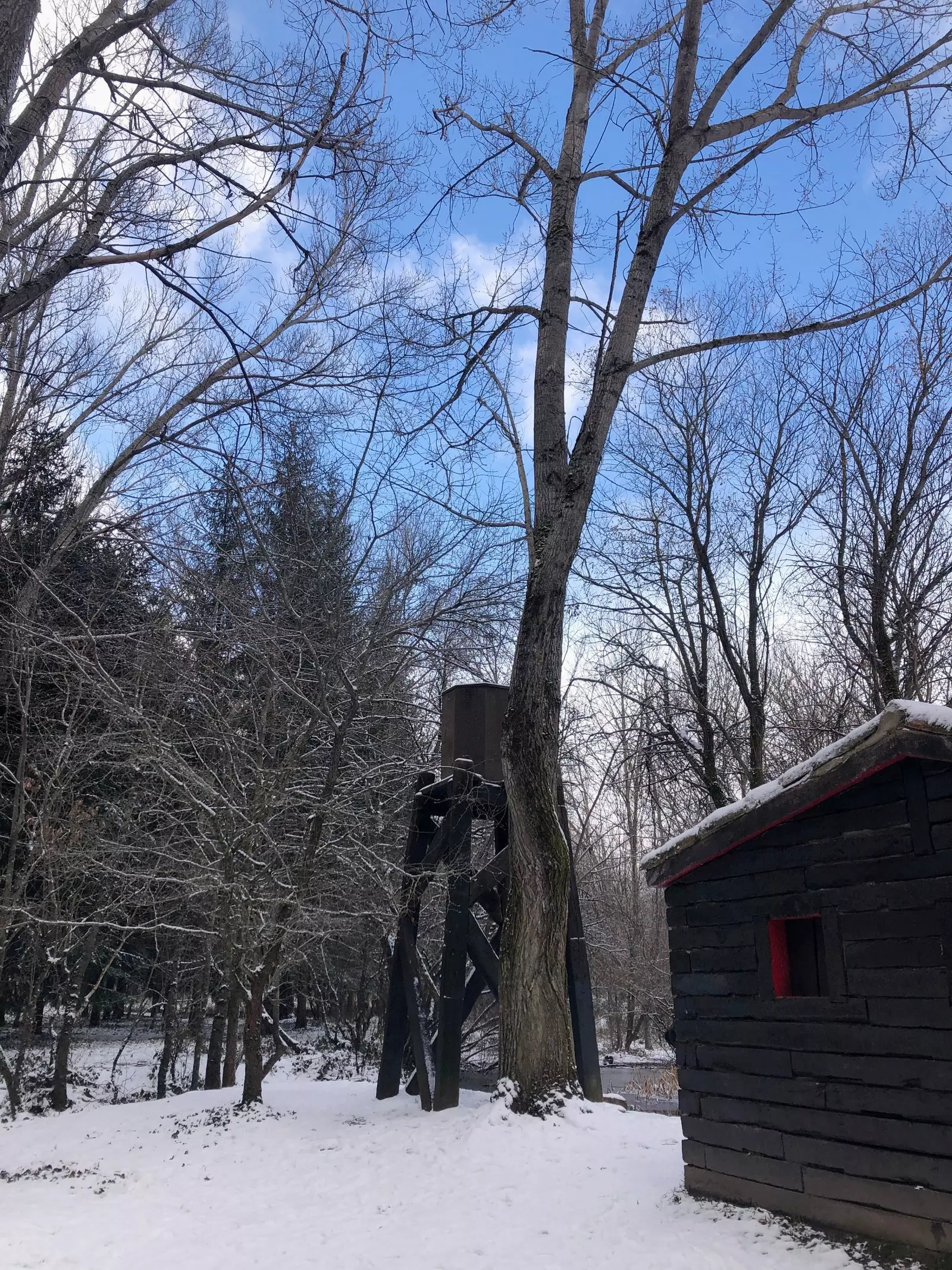 Finnish Forest of Rascafría in winter Madrid.