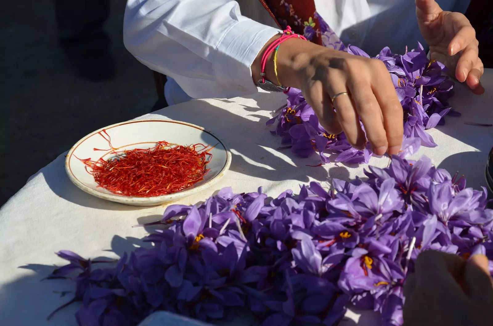 Consuegra Saffron Rose Festival