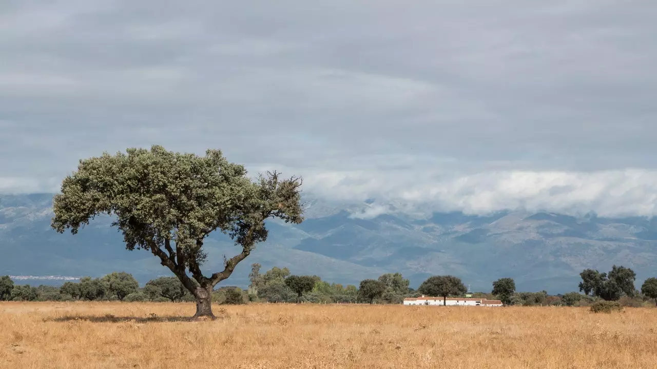 La Calzada de Oropesa: як шаҳраки хурд, аммо дар таърих калон