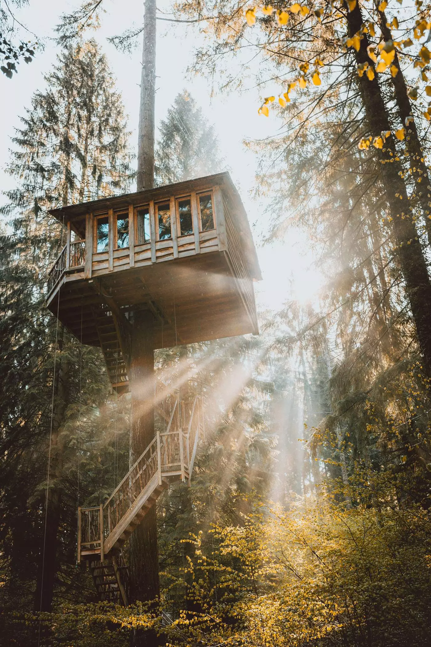 Sleep in the cabins in the trees of the enchanted forest of Otzarreta