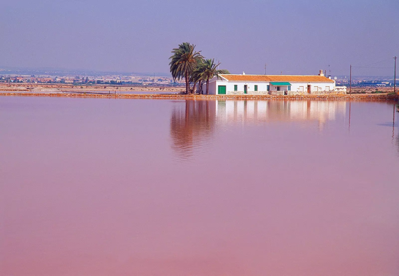 A les salines de Sant Pere del Pinatar Múrcia.