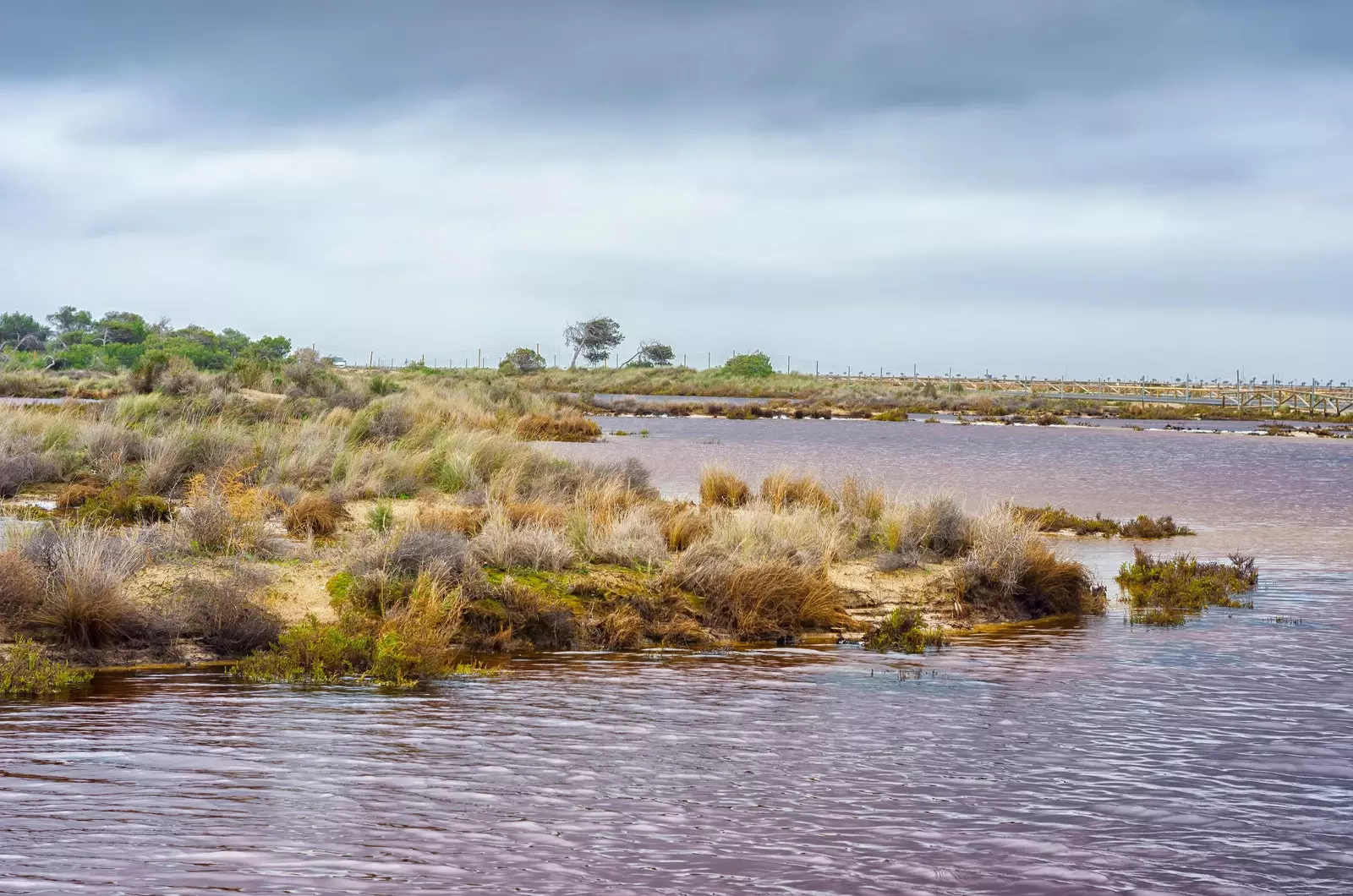 De zoutoplossing verandert in roze naarmate het zwembad een lagere extractiediepte bereikt.