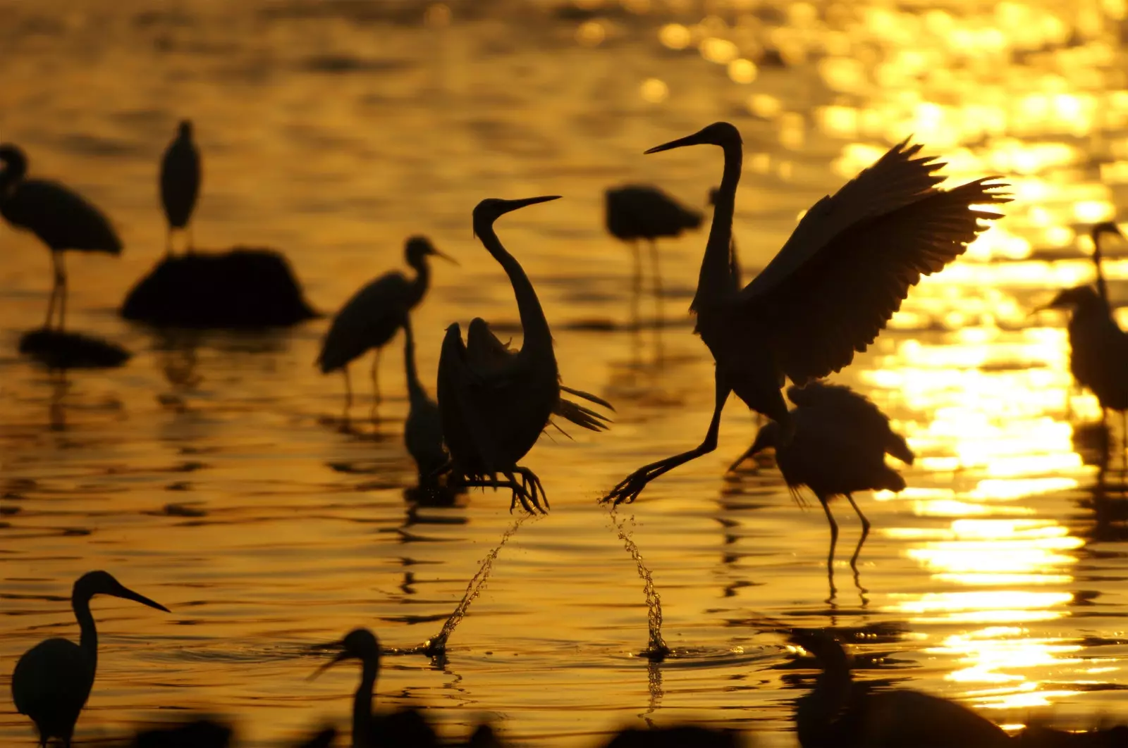 Čeká na vás velké jezero Ukerewe