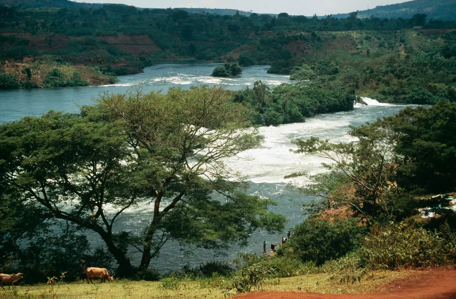 Bujagali Falls