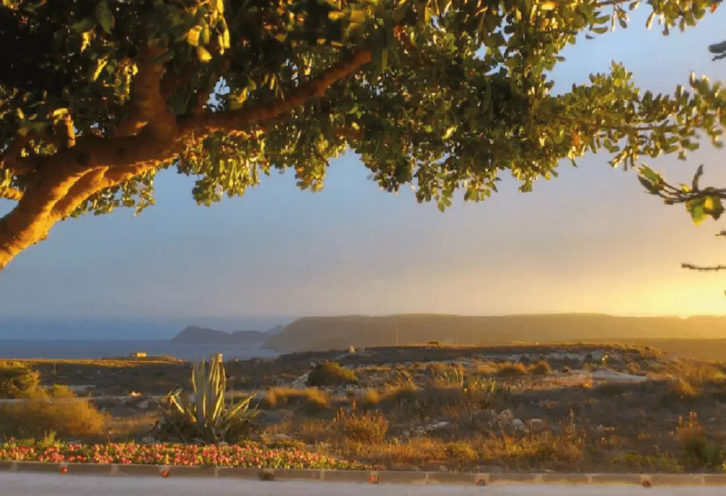 Coucher de soleil depuis l'Asador La Chumbera Agua Amarga