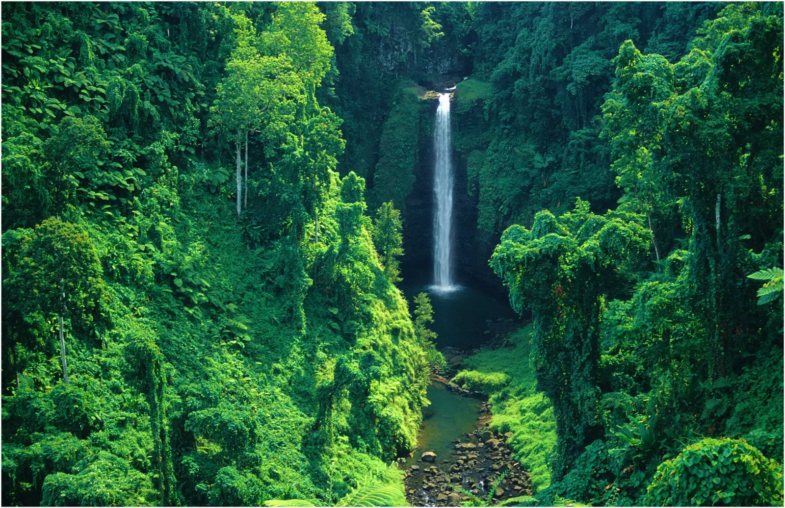 Samoa Polineziane dhe Samoa Amerikane