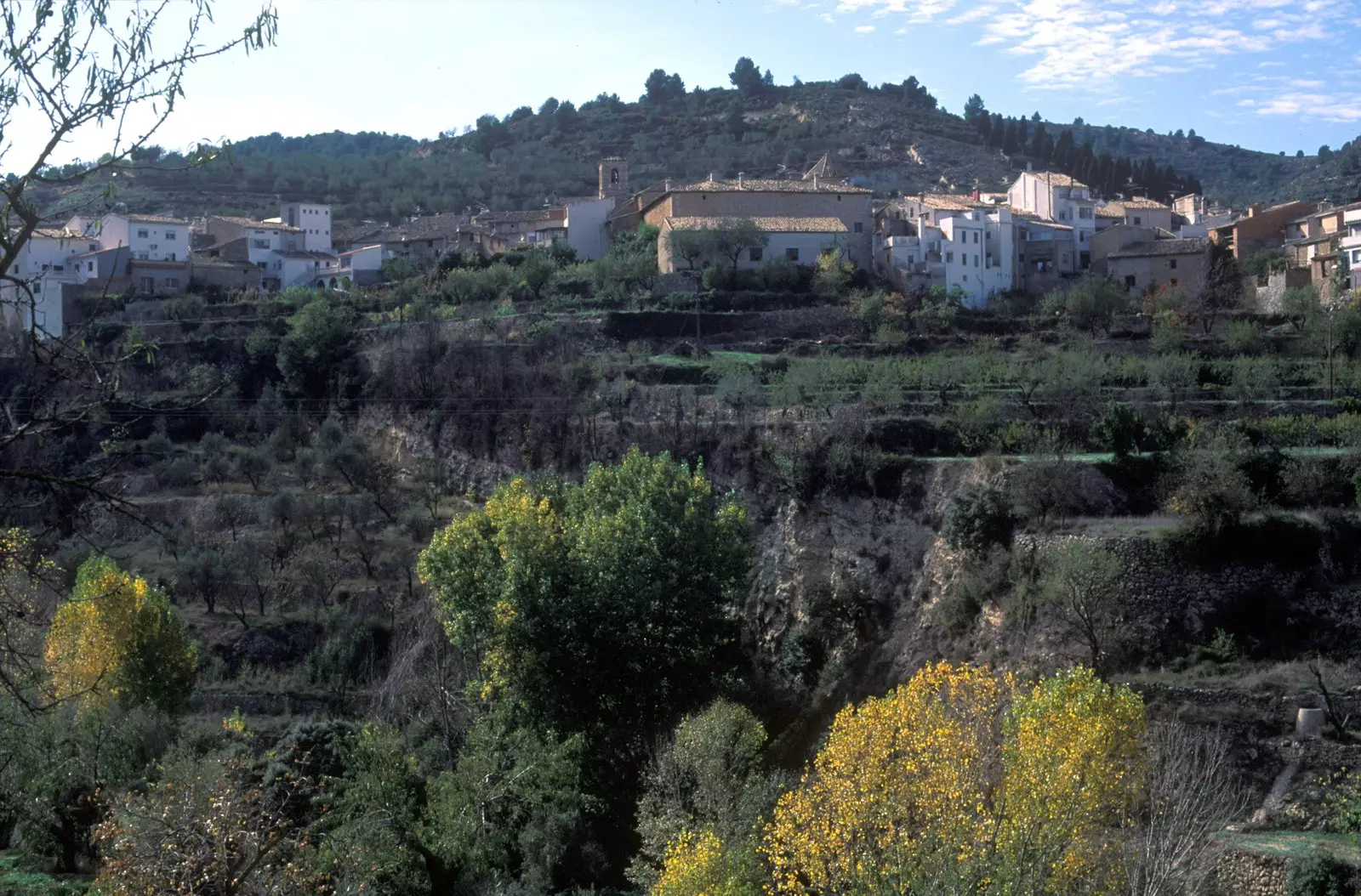 Alcoleja Alicante