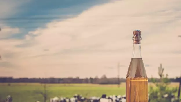 Wenn Sie in Asturien trinken, fahren Sie nicht (sie werden es für Sie tun)