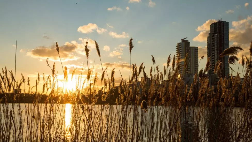 런던의 새로운 녹색 보호 구역, 우드베리 습지(Woodberry Wetlands)