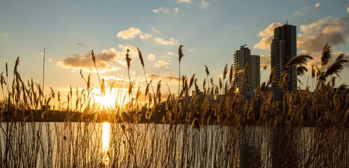 Woodberry Wetlands