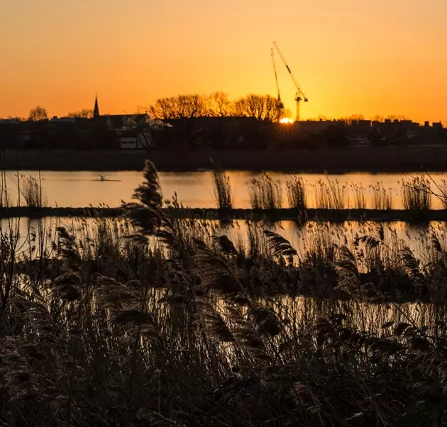 Woodberry Wetlands