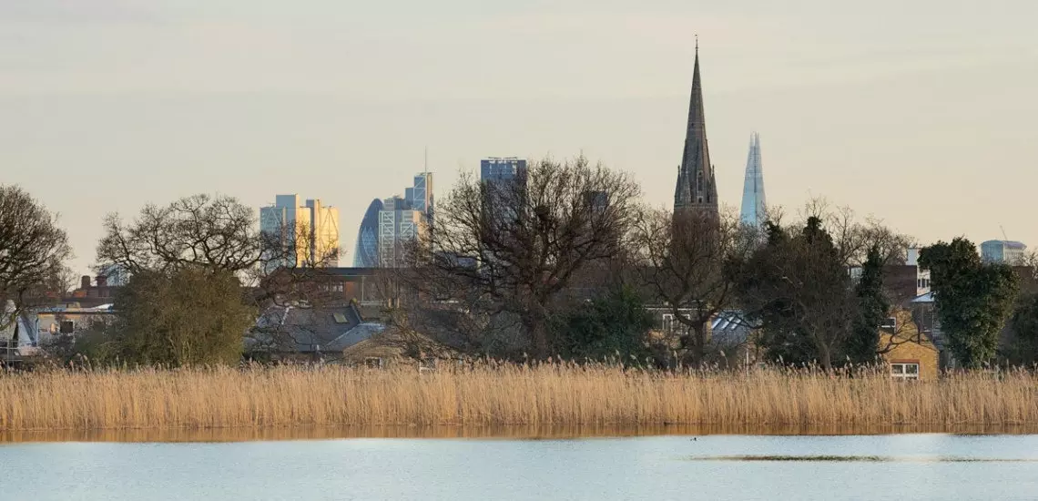 Woodberry Wetlands