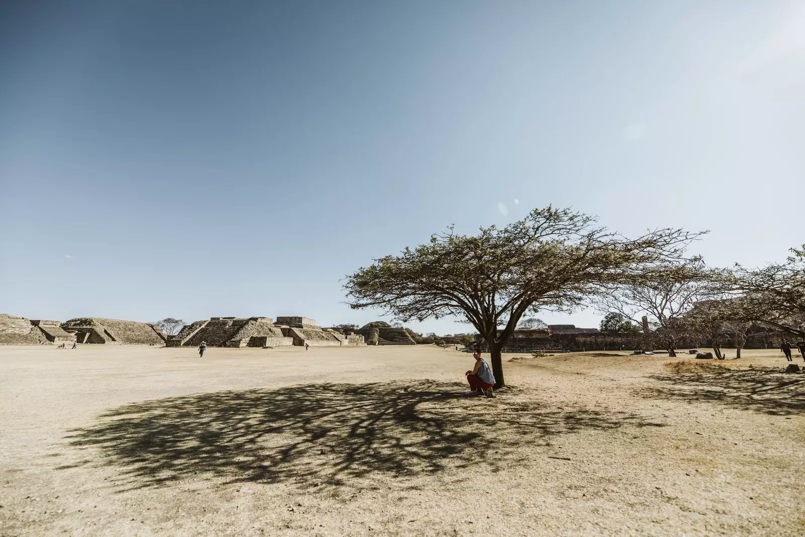 Kto ostrzega, nie jest zdrajcą, w Monte Albn . nie ma cieni