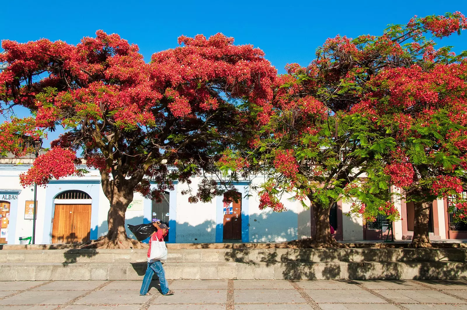 Oaxaca City