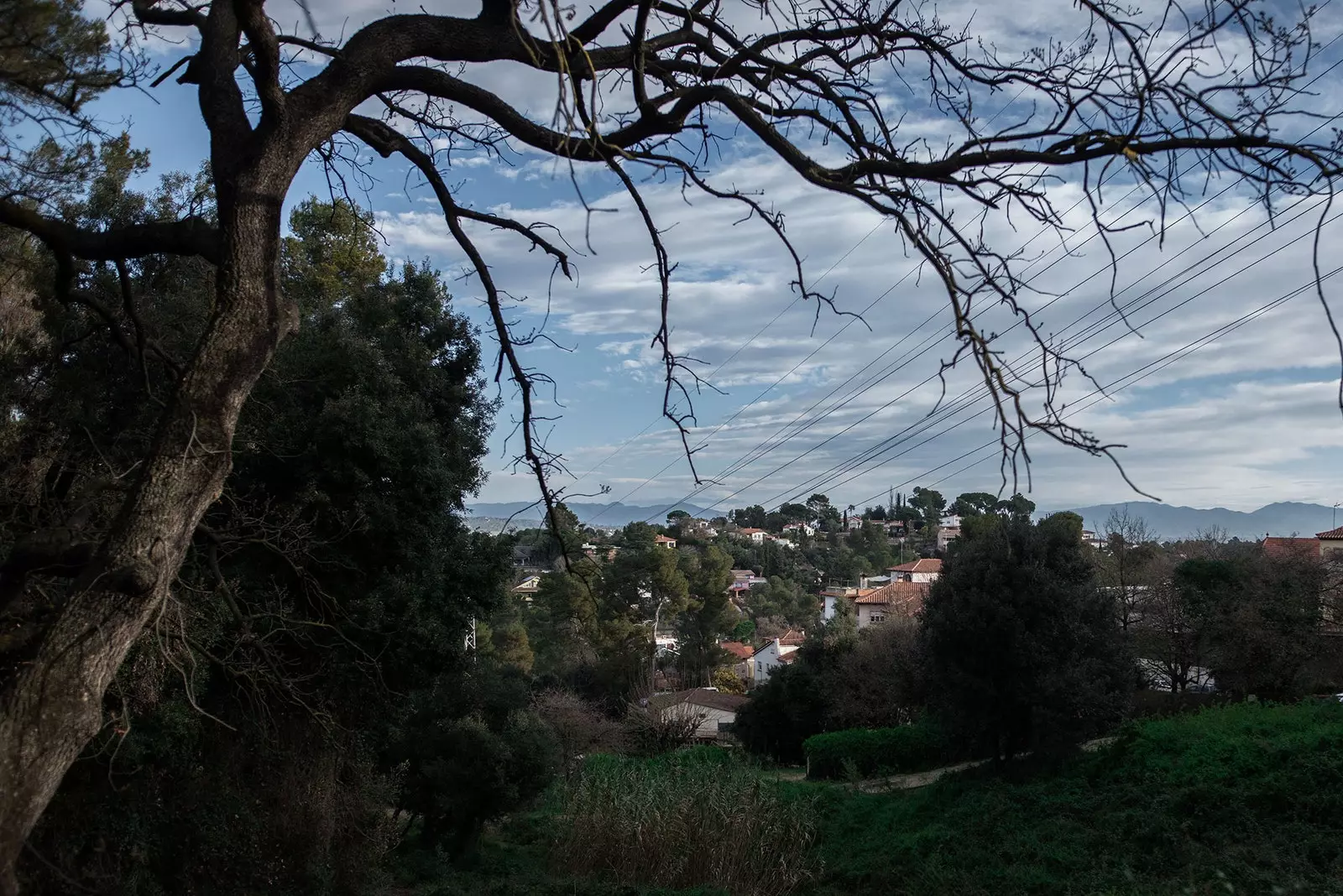 La Floresta je rasla siroče urbanista i planova