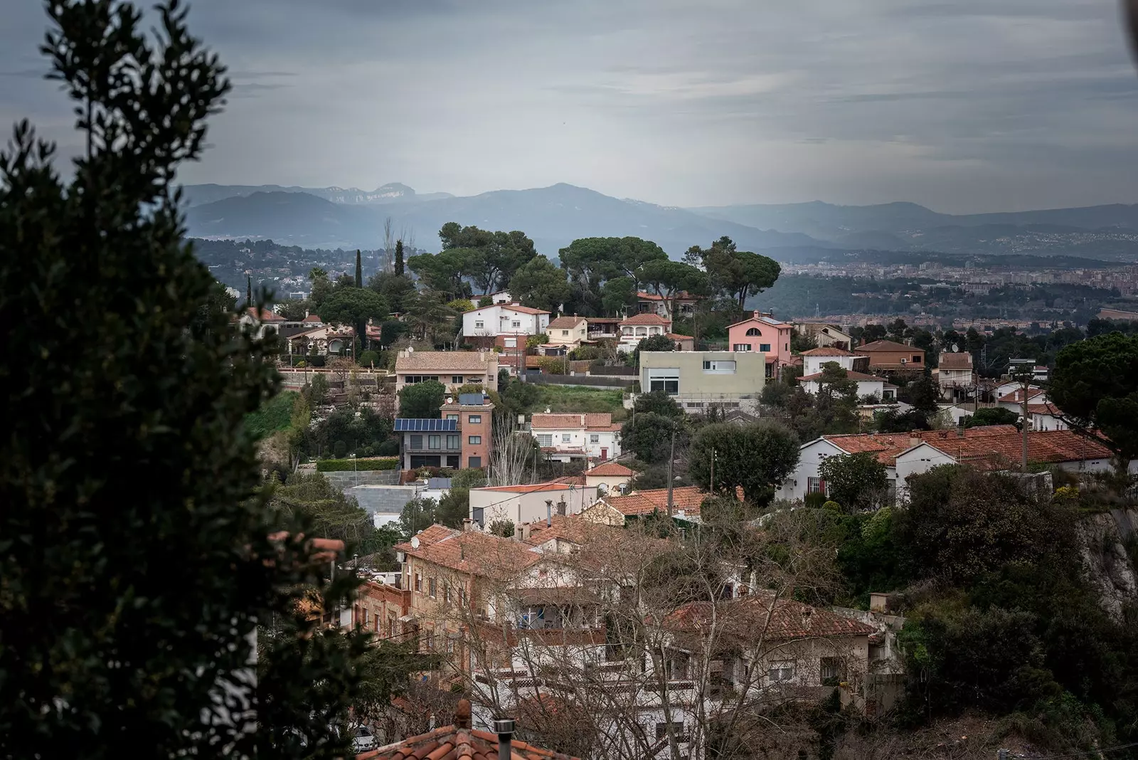 Pylli u bë i kuptueshëm dhe i dukshëm vetëm për ata që jetonin në të