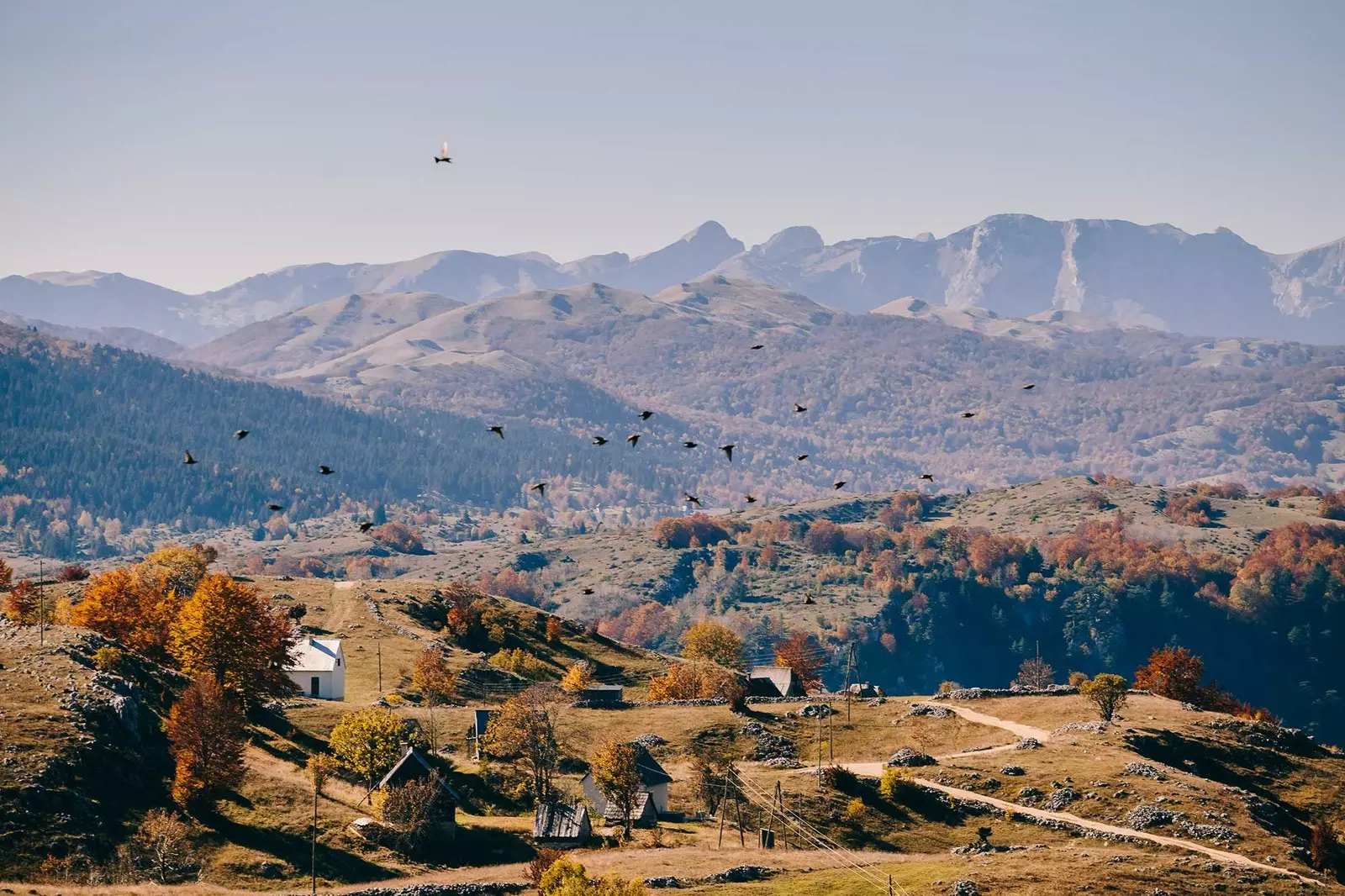 Zabljak Mali i Zi