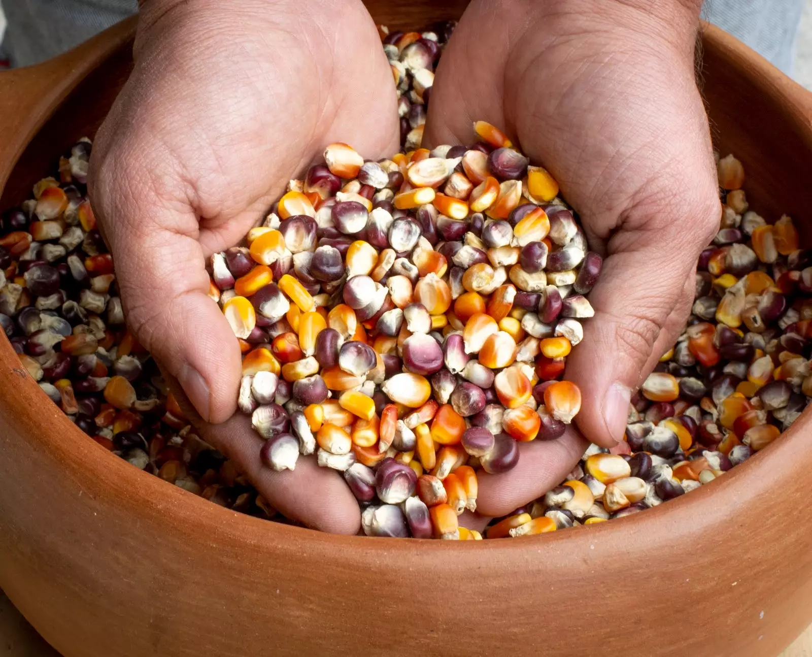 HANDS WITH CORN