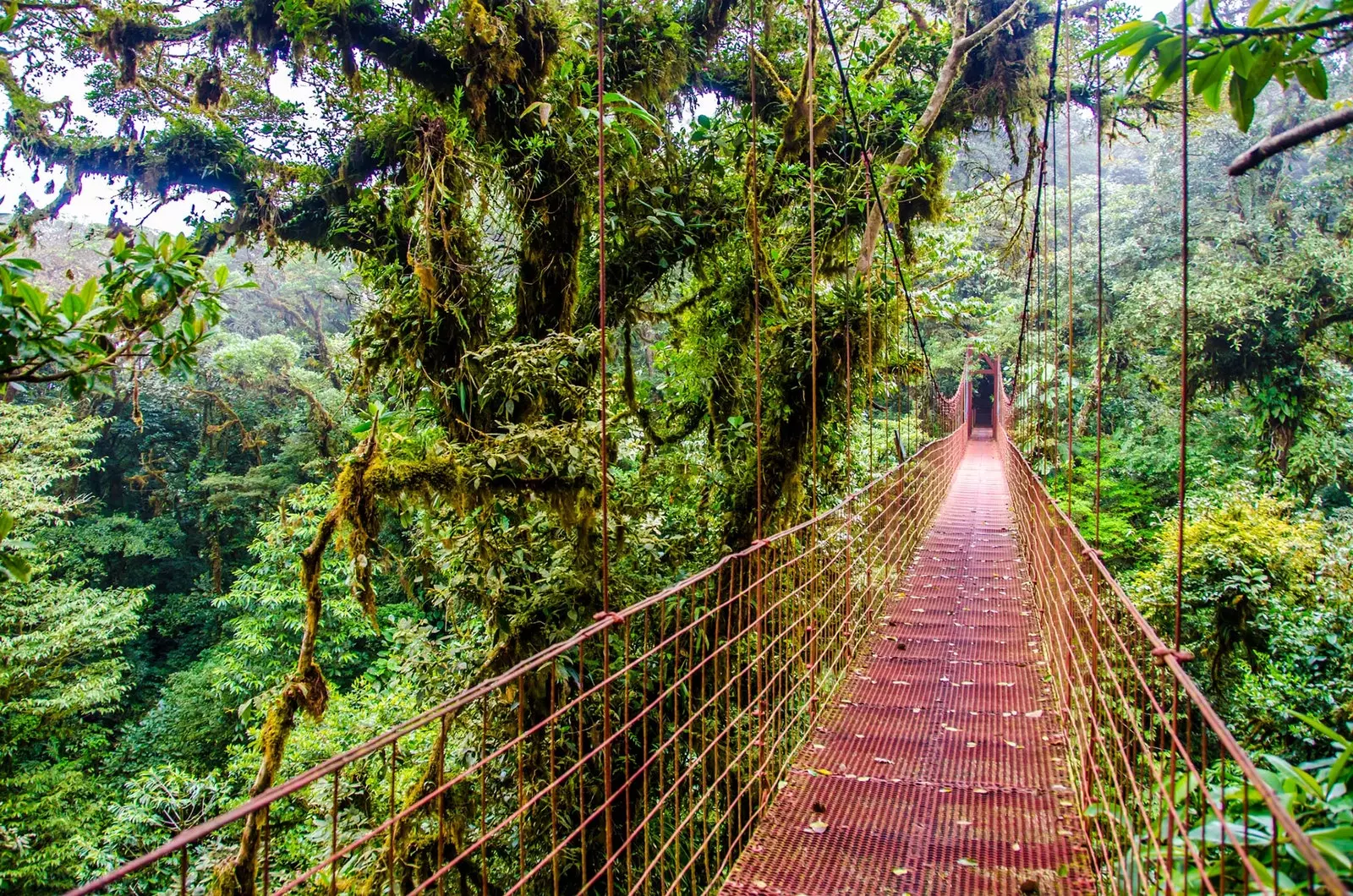 Monteverde το τέλειο μέρος για μια καλή περιπέτεια