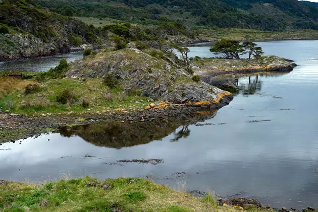 ウライア湾