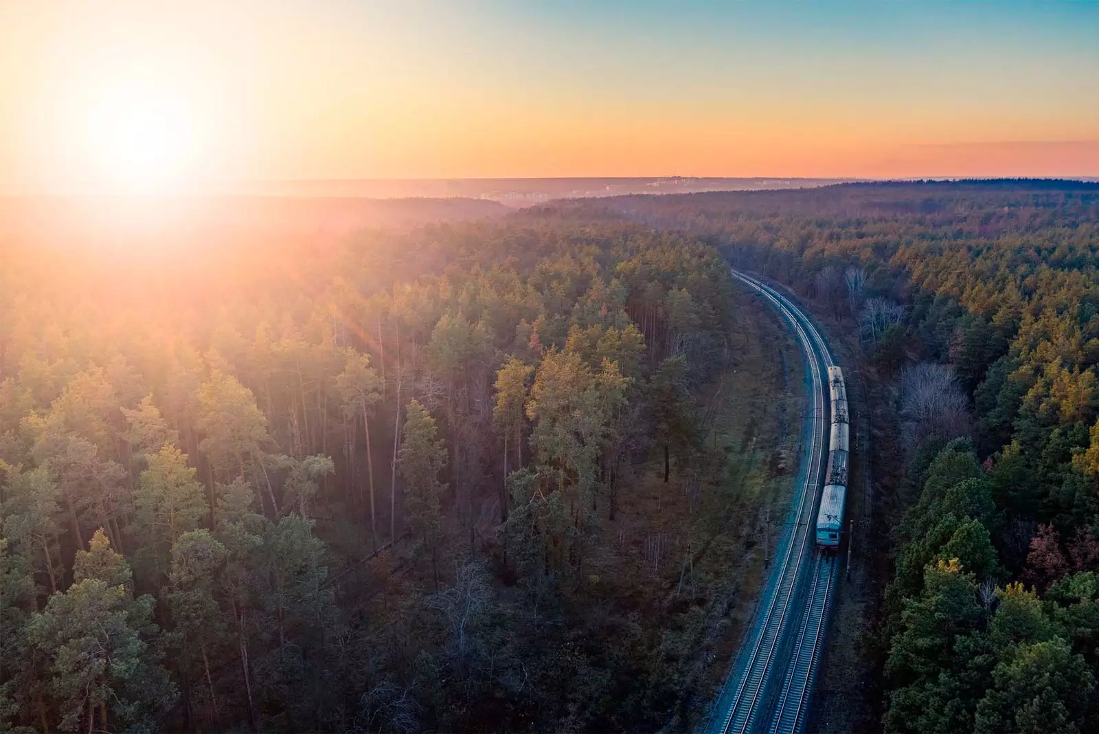 luchtfoto van trein in een bos