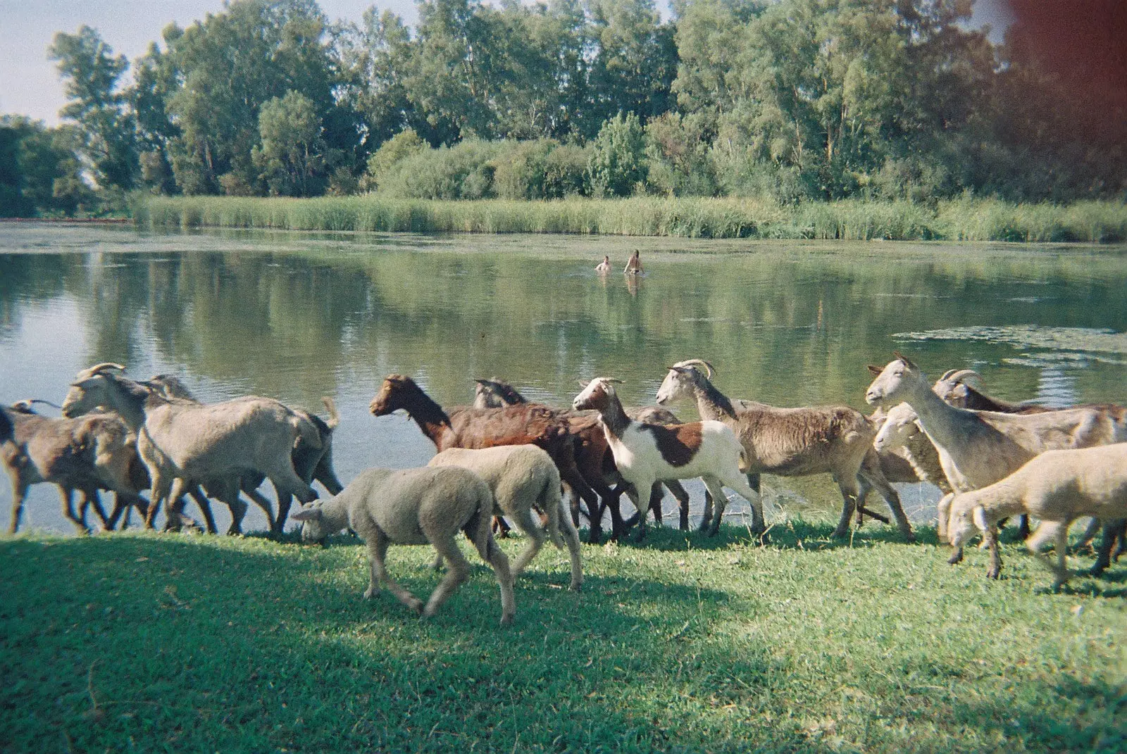 De middag is voor de Guadiana-rivier op het Ithaka-festival